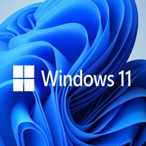 Windows 11 Pro OEM CD Key